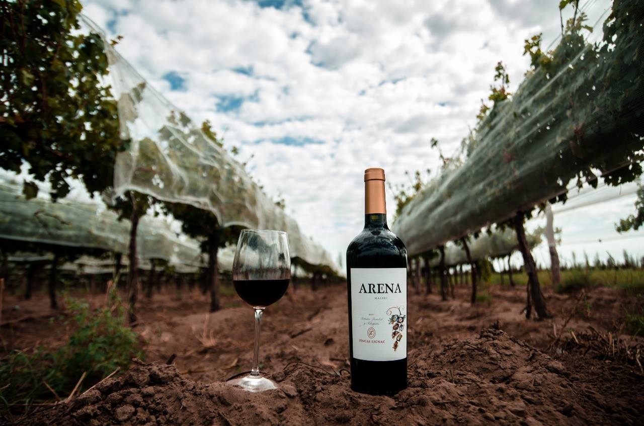 Botella Arena Malbec sobre la tierra, entre las hileras del viñedo de Bombal y Tabanera